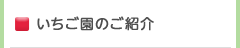 いちご園のご紹介トップページ