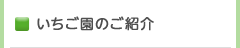 いちご園のご紹介トップページ