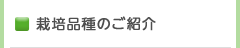 栽培品種のご紹介