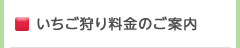 いちご狩り料金のご案内