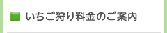 いちご狩り料金のご案内